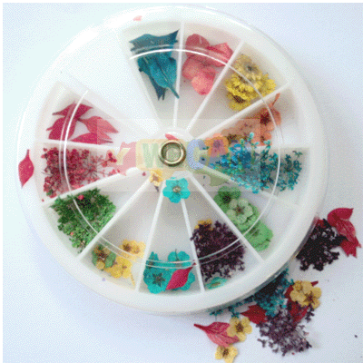12 Style Real Dried Dry Flower for 3D UV Nail Art BOX